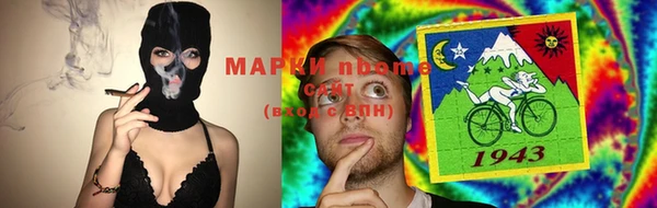 прущие грибы Алексин