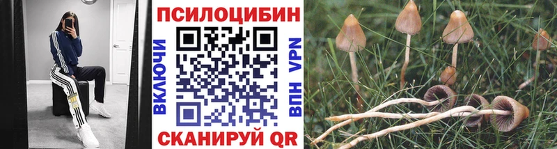 Галлюциногенные грибы MAGIC MUSHROOMS  Камышин 