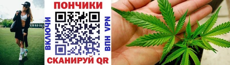 магазин продажи наркотиков  MEGA маркетплейс  Конопля MAZAR  Камышин 